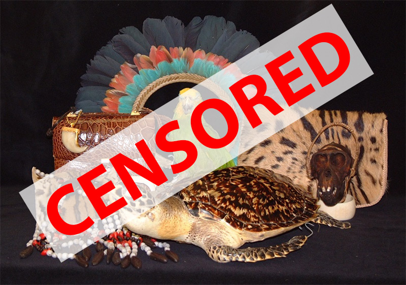 Сувениры запрещенные к вывозу из Таиланда