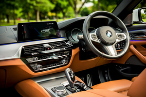 Rent a car BMW 530e M Sport(19-23) - photo 10