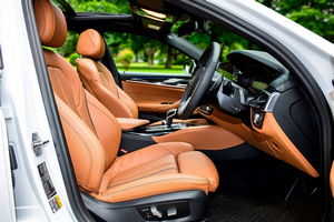 Rent a car BMW 530e M Sport(19-23) - photo 11