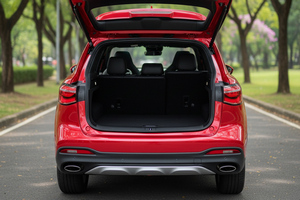 Rent a car MG HS (22-24) - photo 9